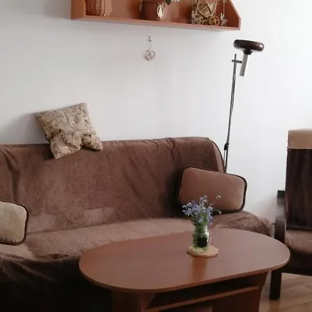 Plne Vybaveny 2+1byt S Balkonem A Koji Pro Kola A Lyze.